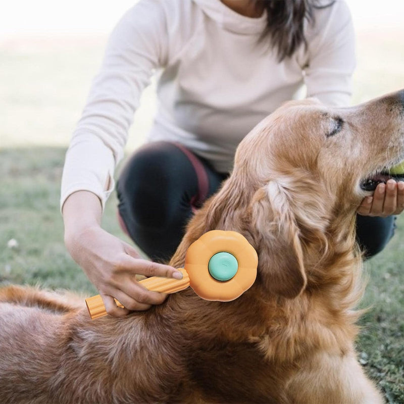 Escova Limp Pet - A sua única autolimpante